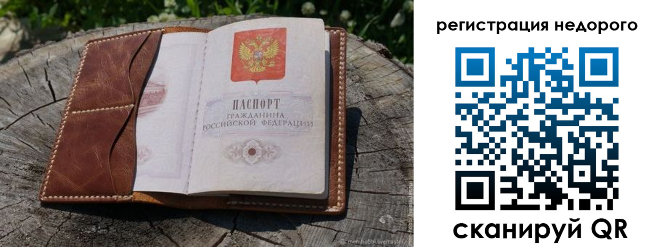 прописка гарантия в Курской области