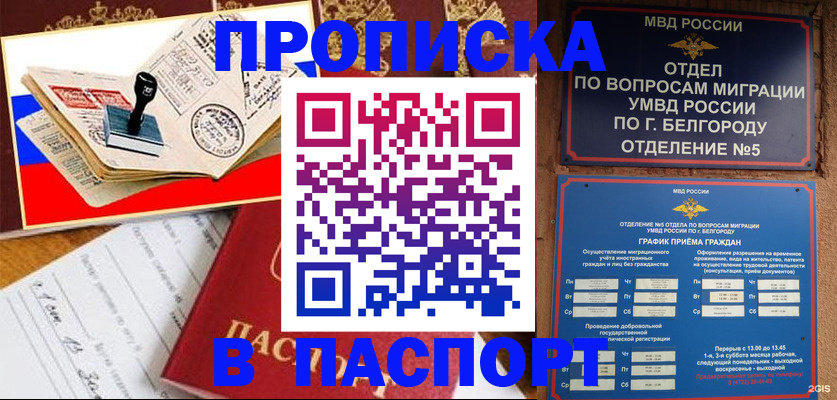 купить прописку в Курской области